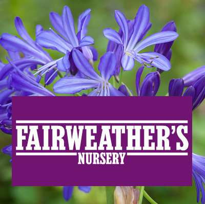 fw-nursary