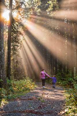 walks